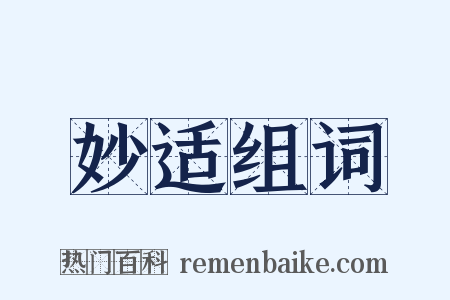 妙适组词是什么意思的图片